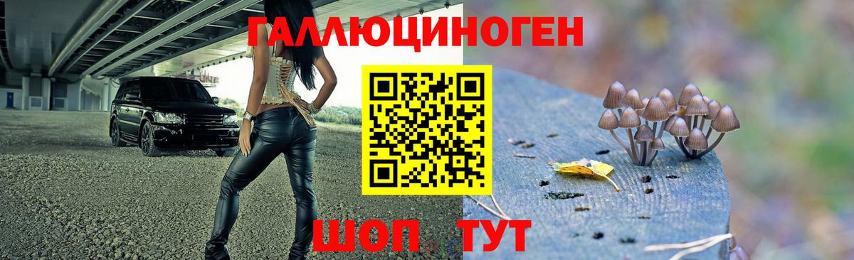 Псилоцибиновые грибы Magic Shrooms  Вход с VPN  Псилоцибиновые грибы мицелий  Владимир 